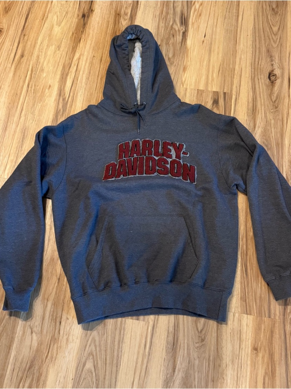 Champion Hoodie Harley Davidson Vintage Hoodie Grey Mens Size Large